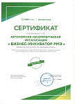 Сертификат.Партнер АО Деловая среда 2023.jpg